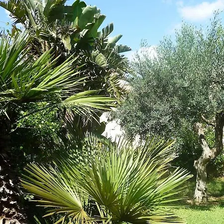 Pino With Exclusive Private Pool Only 50m From The *